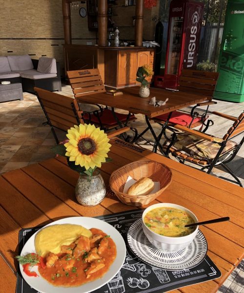 311440260_208498198191497_5358189536201095795_n